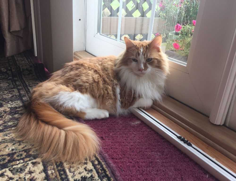 why should i install a vessel sink thtintdesign