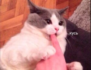 why widdeadvi lags in my pc