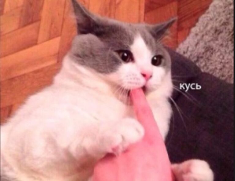 why widdeadvi lags in my pc