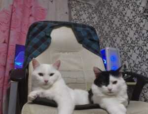 winter cleaning hacks mrshomegen