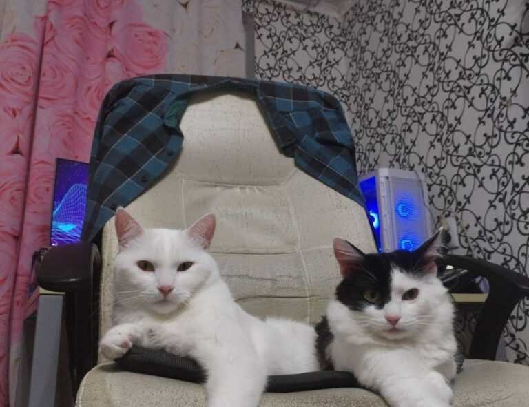 winter cleaning hacks mrshomegen