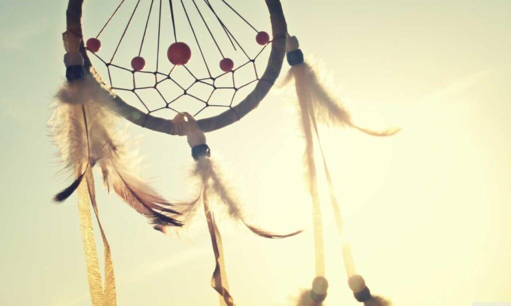 yard designs kdagardenation