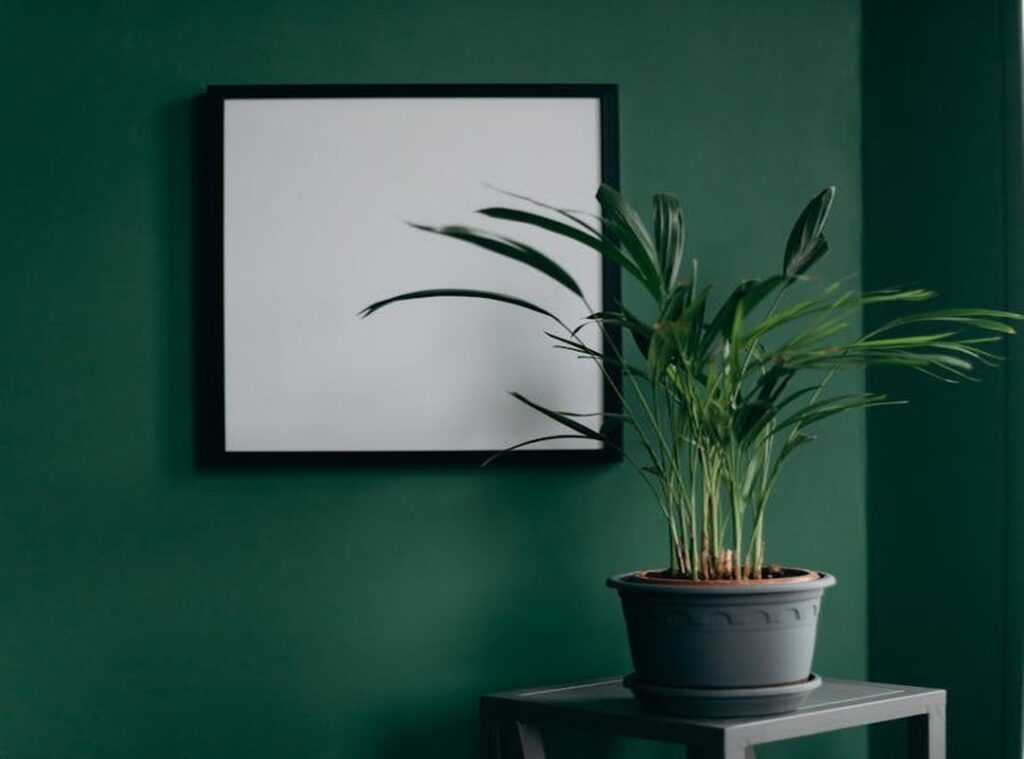 Home Decoration Ththomedec