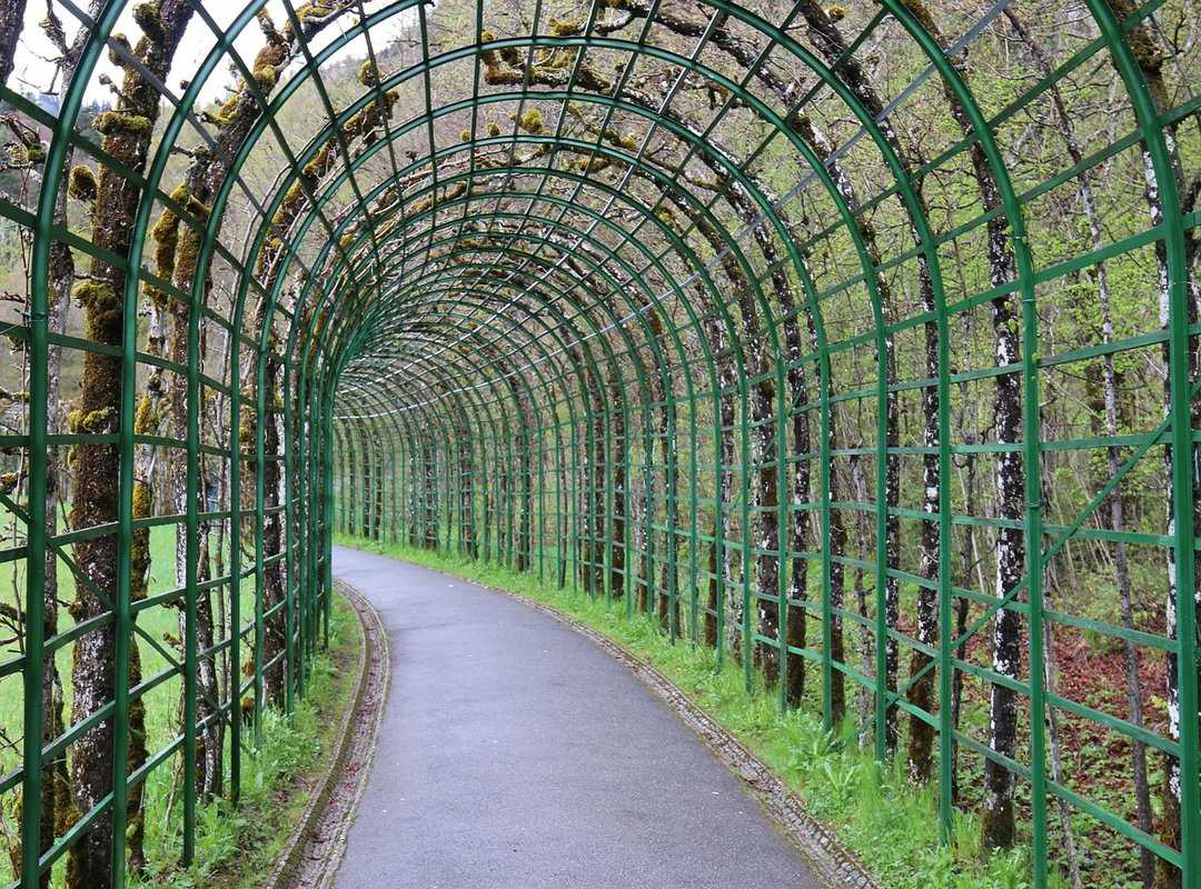 How to Set up My Garden Homemendous