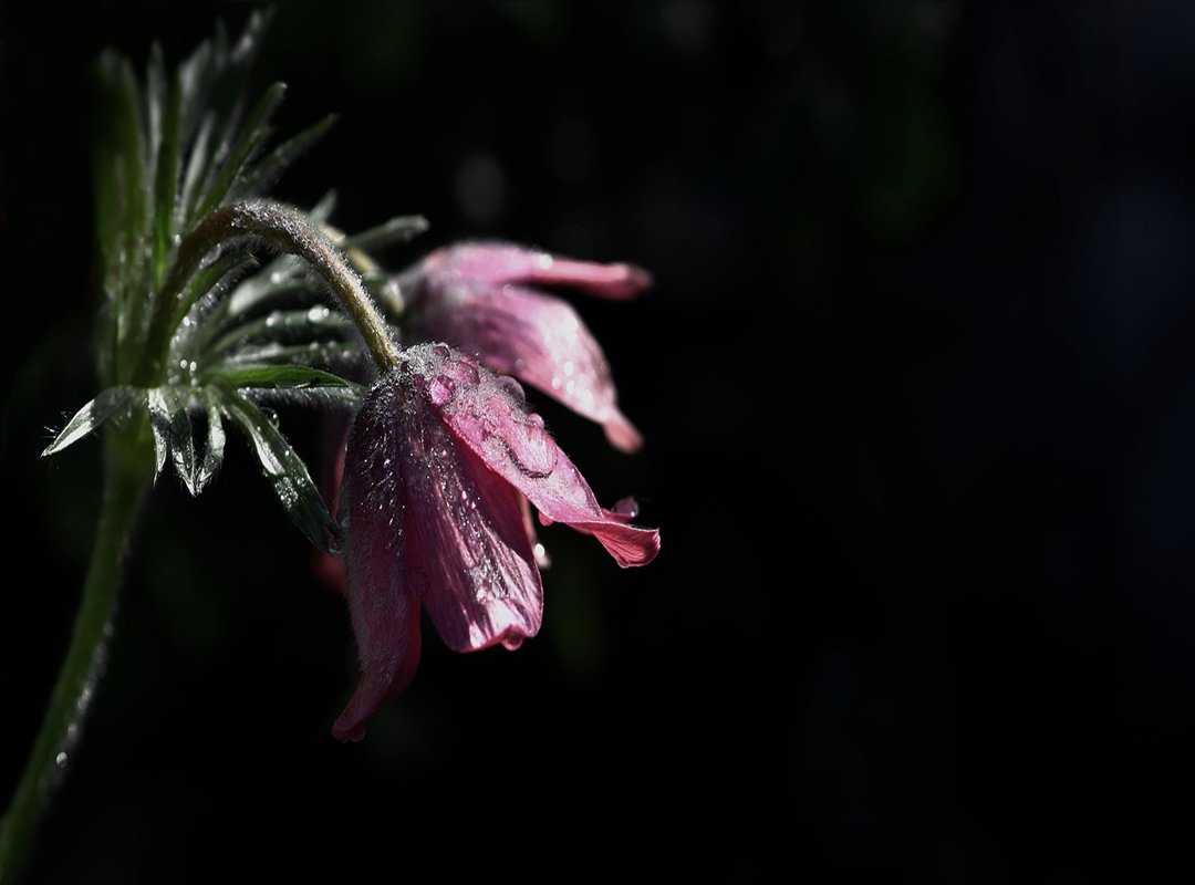 How to Upgrade My Garden Homemendous