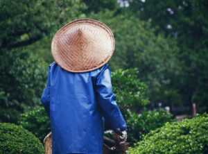 Yard Decoration Decadgarden