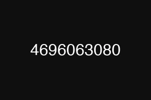 4696063080
