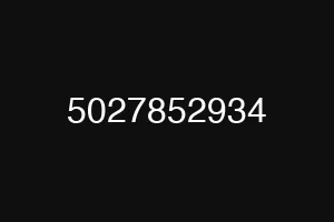 5027852934