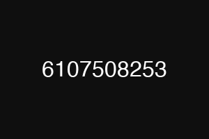 6107508253