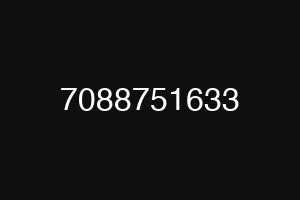 7088751633