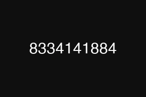 8334141884