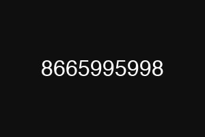 8665995998