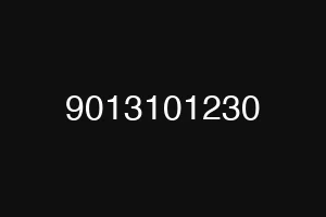 9013101230