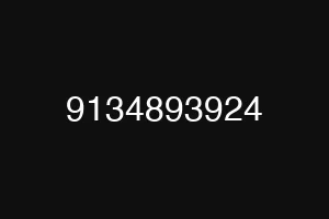 9134893924