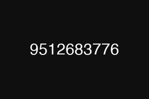 9512683776