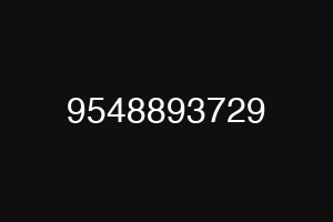 9548893729