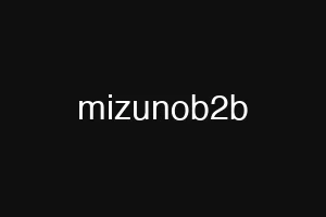 mizunob2b